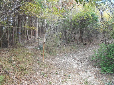 f0308898_87135.jpg