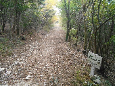 f0308898_872356.jpg