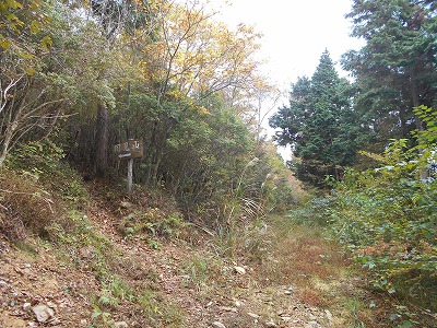 f0308898_87308.jpg