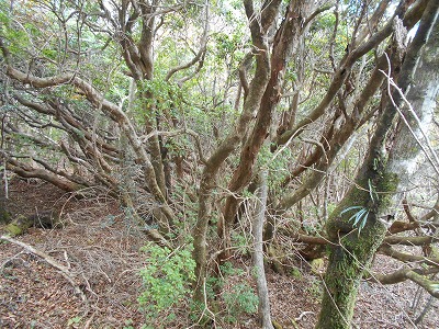 f0308898_87375.jpg