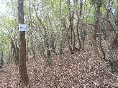 f0308898_874532.jpg