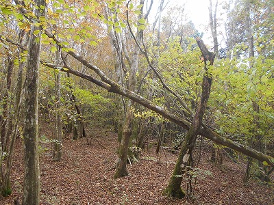 f0308898_881281.jpg