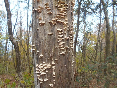 f0308898_88561.jpg