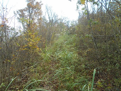 f0308898_885985.jpg
