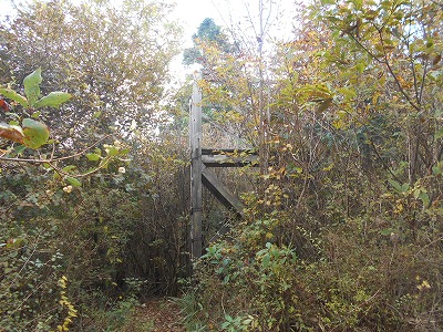 f0308898_89136.jpg