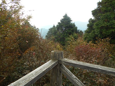 f0308898_892644.jpg
