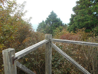 f0308898_893329.jpg