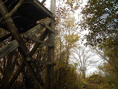 f0308898_895028.jpg