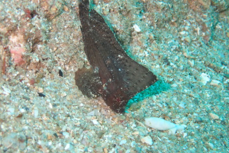 e0115199_20293024.jpg