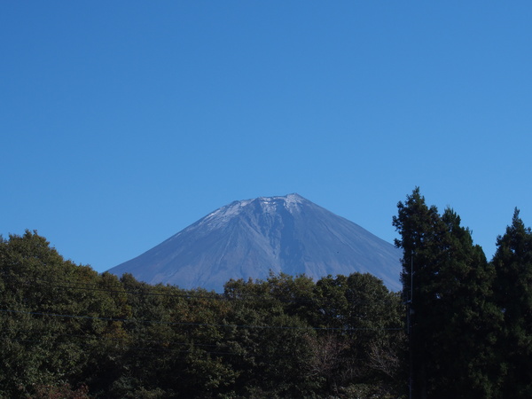 d0293002_1045243.jpg