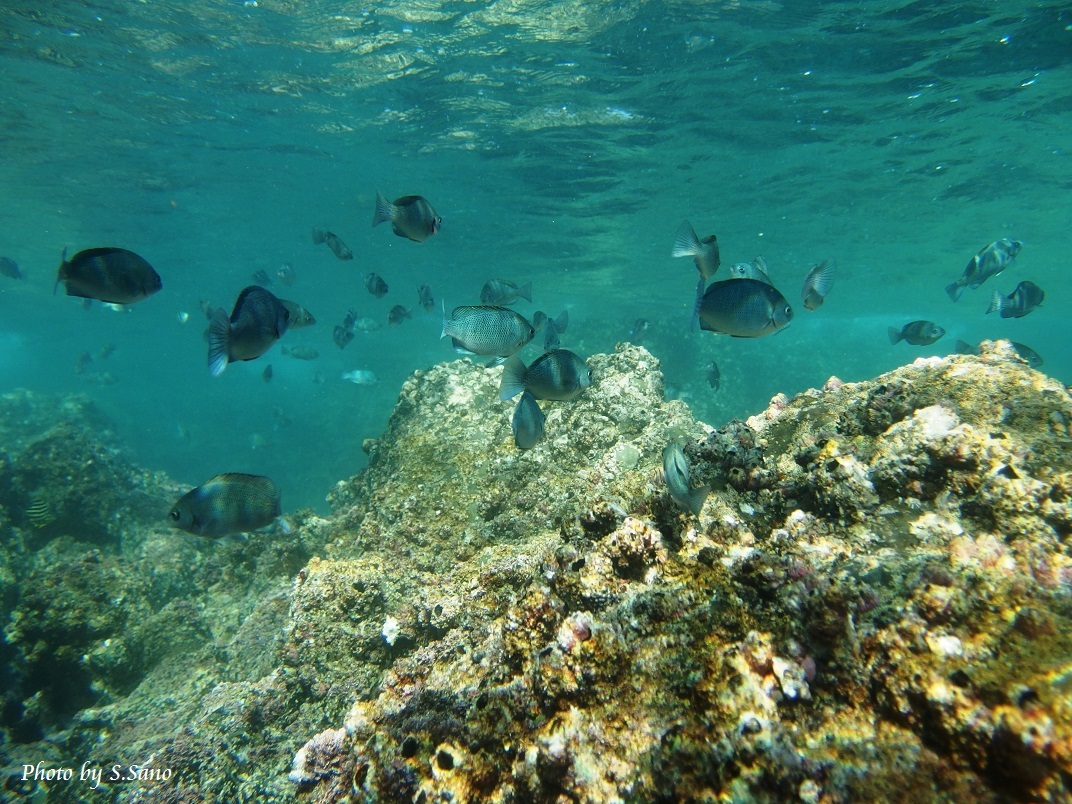 b0348205_22361816.jpg