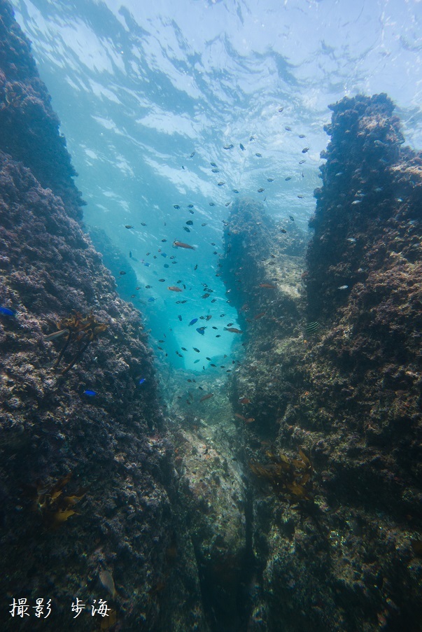 b0348205_22382477.jpg