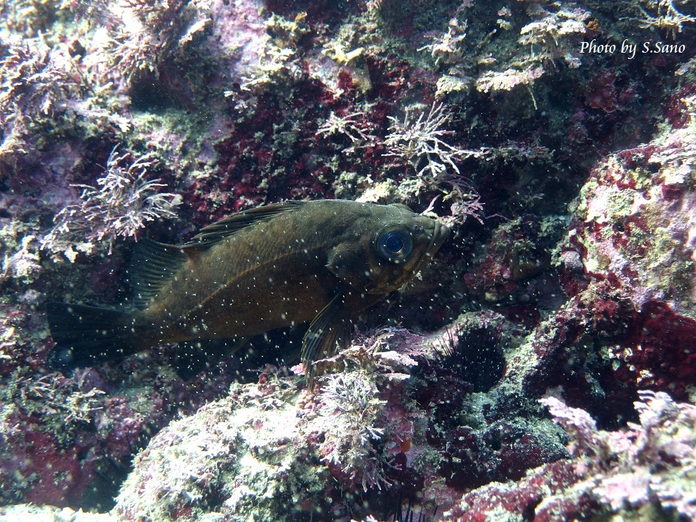 b0348205_22401582.jpg