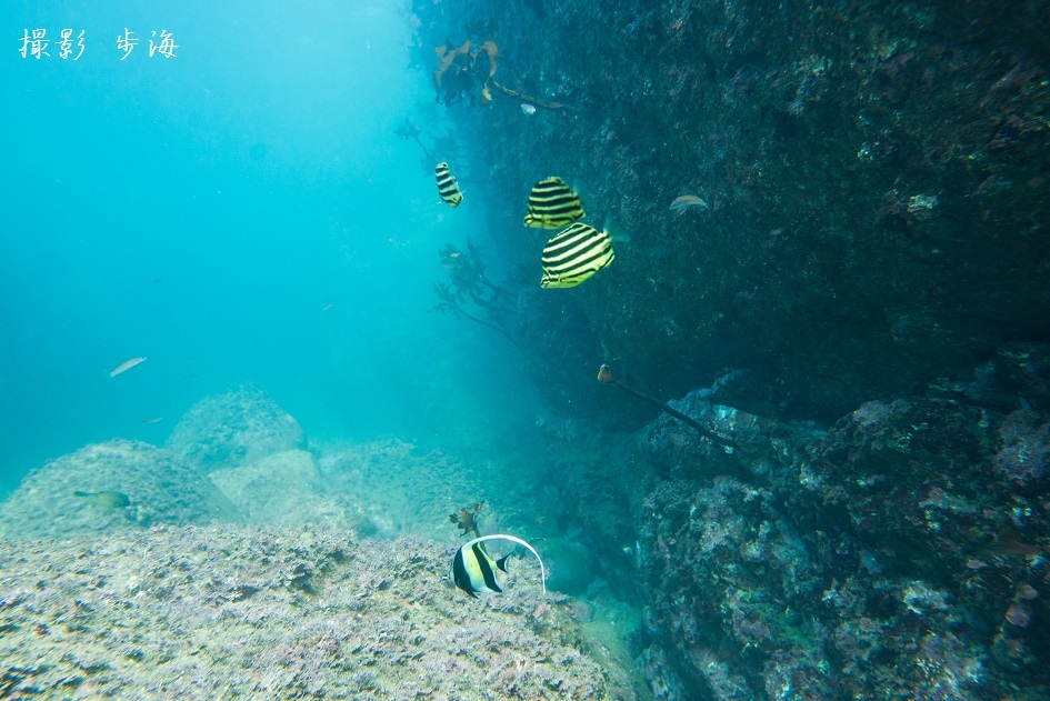 b0348205_22420445.jpg