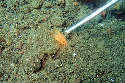 a0354506_17112444.jpg