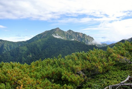 c0242406_9484219.jpg