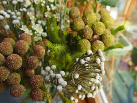 c0117007_2233732.jpg