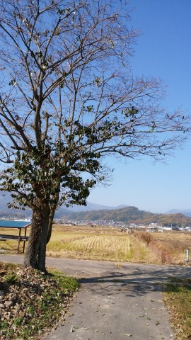 c0117007_22374876.jpg