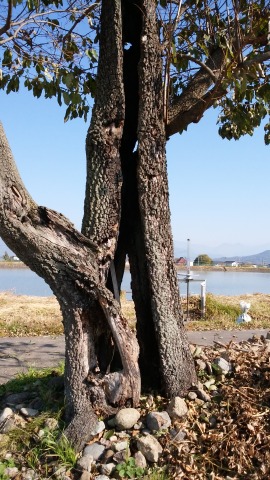 c0117007_22382716.jpg