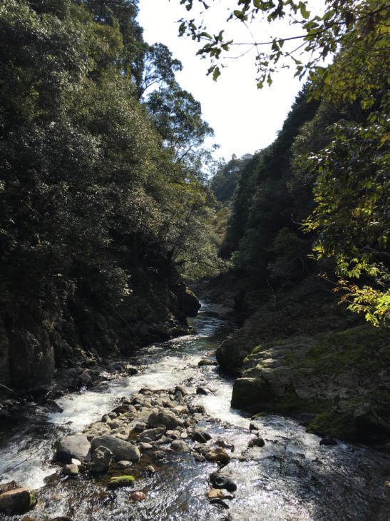f0095309_18164499.jpg