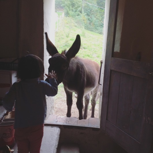 a0142810_17000113.jpeg