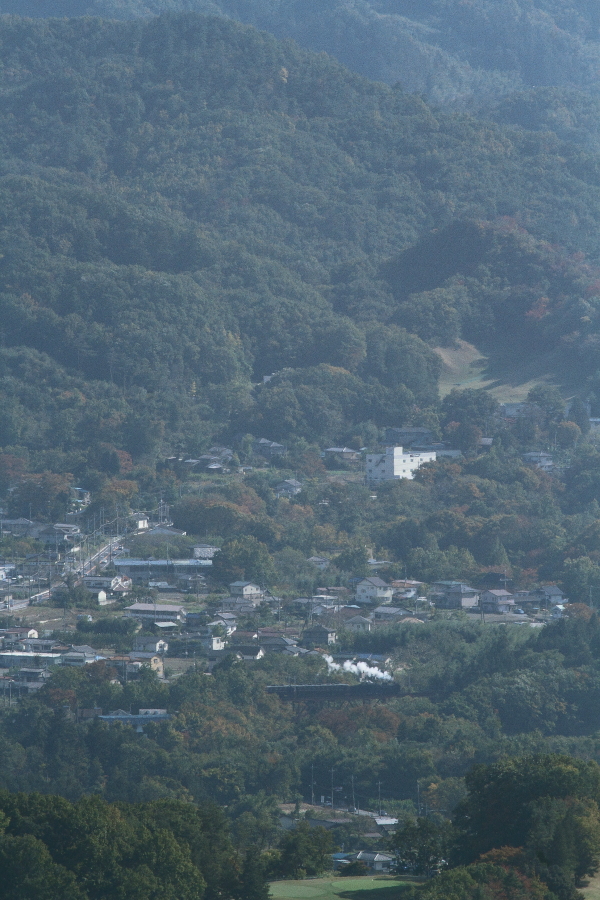 まだ緑の勝る横瀬川の白煙 - 2016年晩秋・秩父 - _b0190710_23483297.jpg