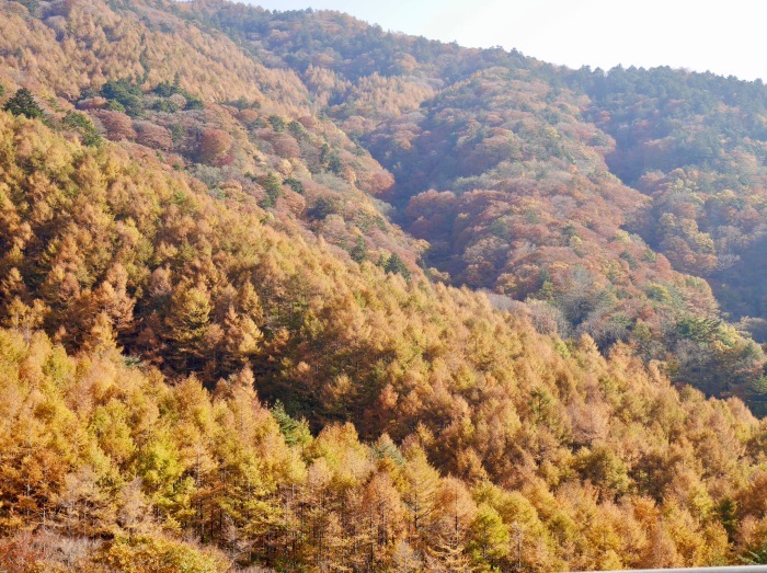 c0114110_10021779.jpg