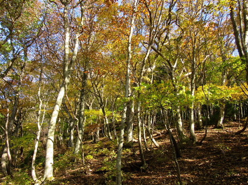 a0164011_1875556.jpg