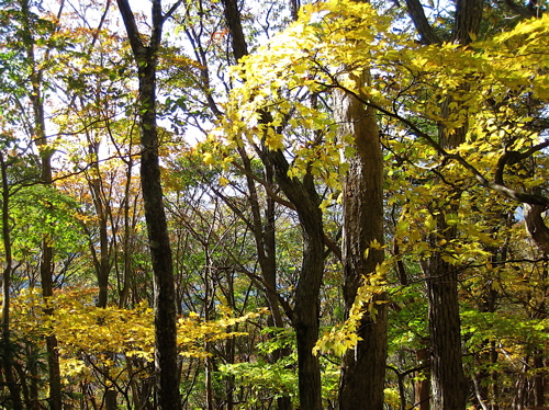 a0164011_187576.jpg
