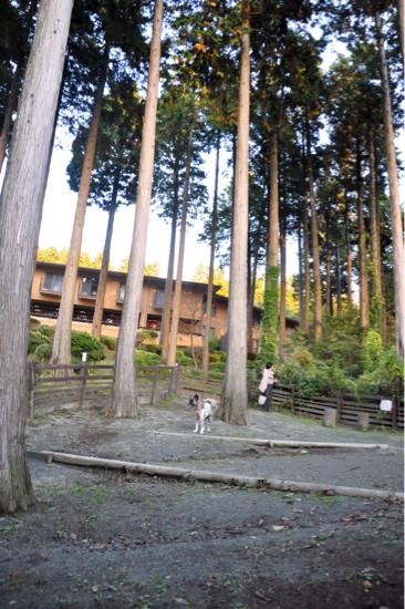 f0329311_20342286.jpg