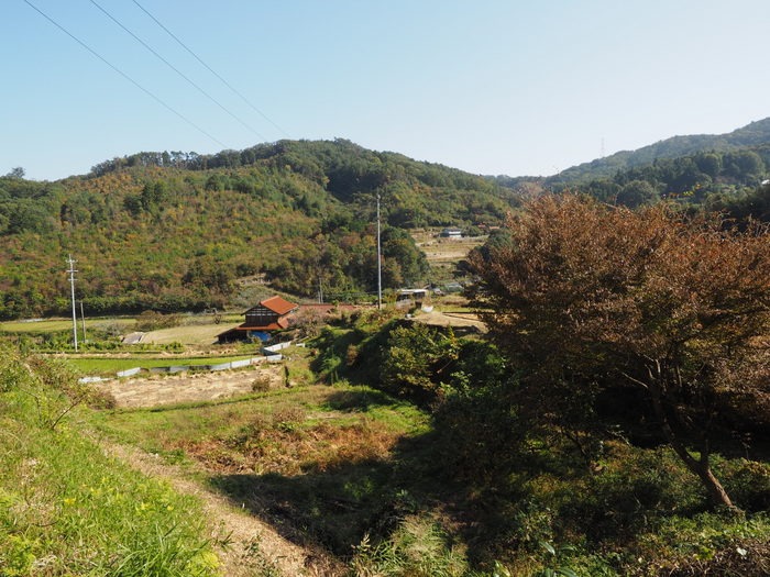 快晴_c0116915_0154441.jpg