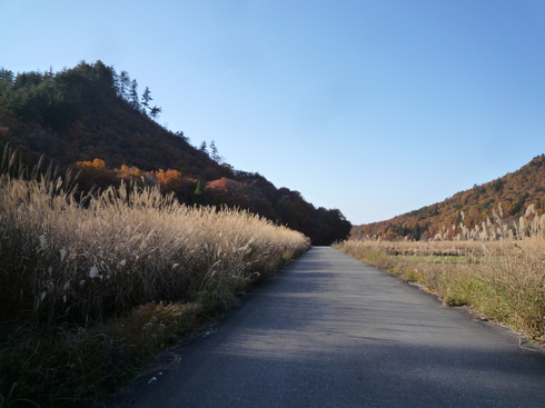 c0189218_5442038.jpg