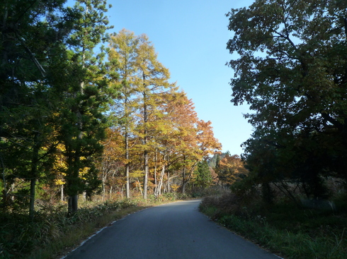 c0189218_5443925.jpg