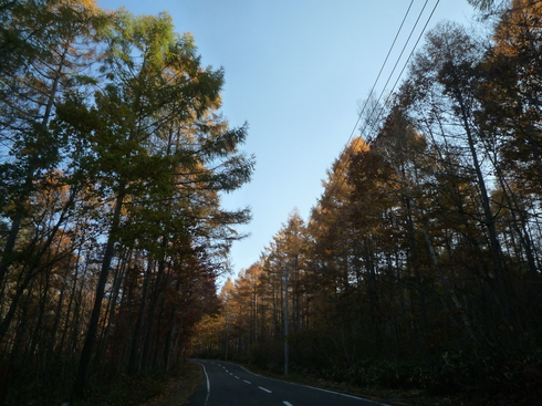 c0189218_5445283.jpg