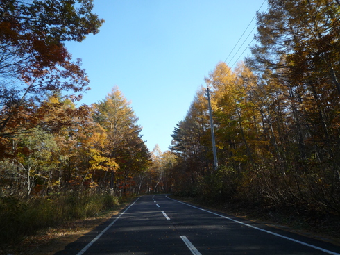 c0189218_5451082.jpg