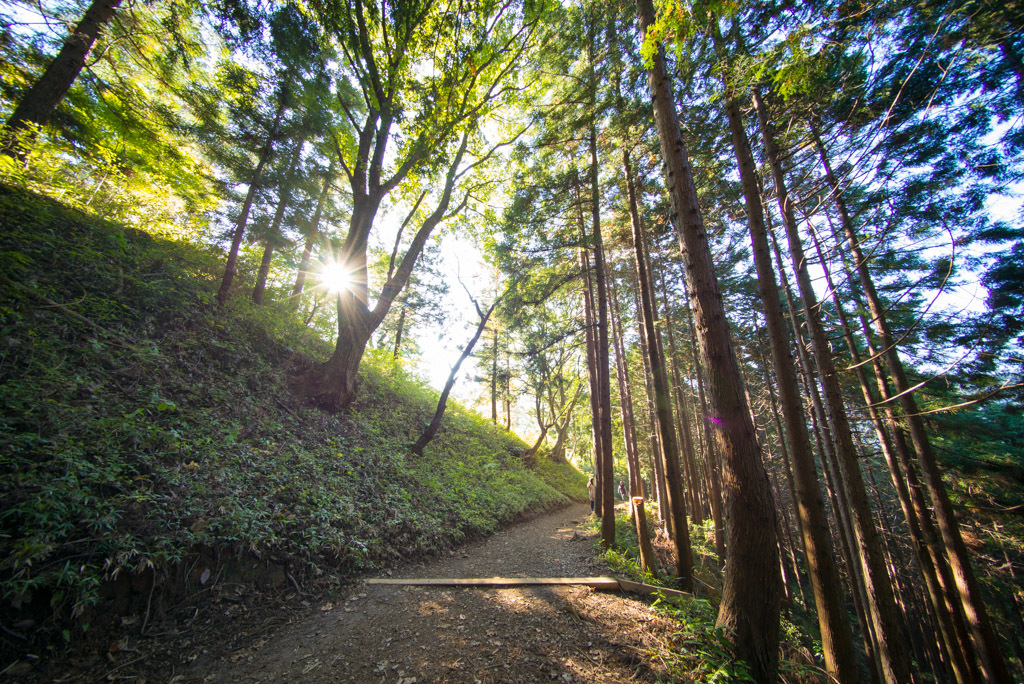 高尾山でリフレッシュ　③_d0161322_21001012.jpg