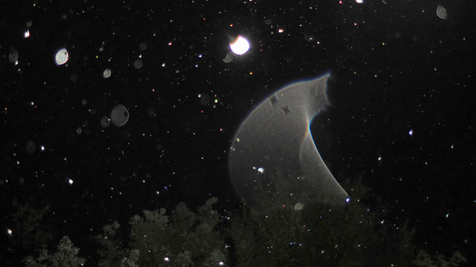 c0331825_15394333.jpg