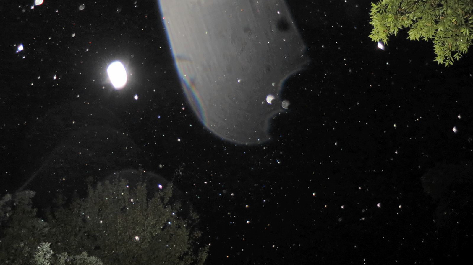 c0331825_15420279.jpg