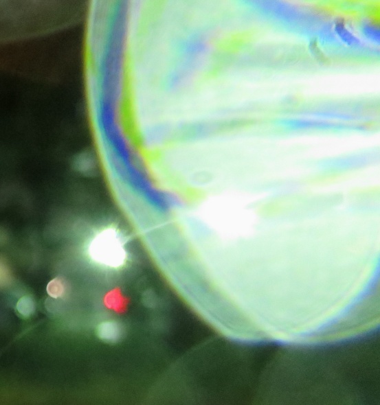 c0331825_16093068.jpg
