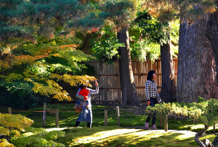 福島県会津若松市　「御薬園の紅葉」_d0106628_09455135.jpg