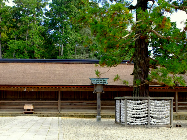 「島根・出雲 神在月 着物で出雲大社」_a0000029_1030554.jpg