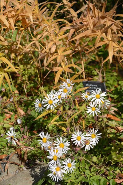 c0107129_18415694.jpg