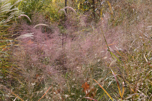 c0107129_18434878.jpg