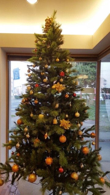 クリスマスツリー_b0212031_1157982.jpg