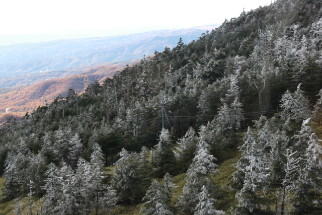 f0348831_07541954.jpg