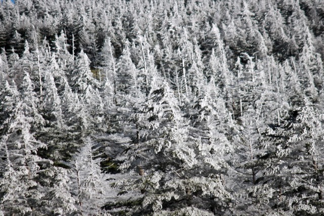 f0348831_21042456.jpg