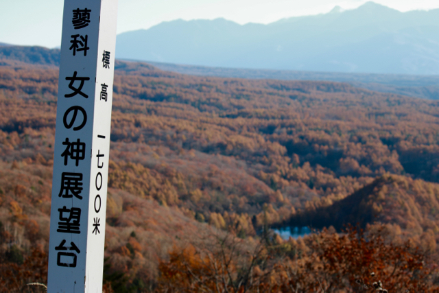 秋の日帰り信州 part 3_f0348831_21251161.jpg