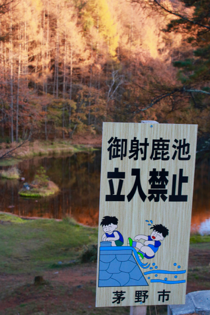 秋の日帰り信州 part 3_f0348831_21252919.jpg