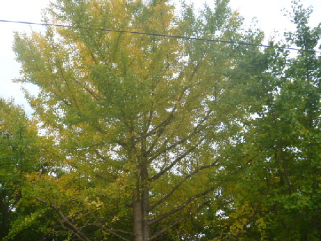 b0246036_14502738.jpg