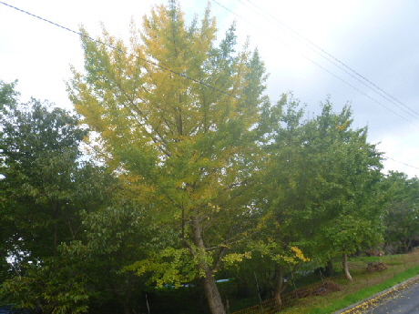 b0246036_14531594.jpg